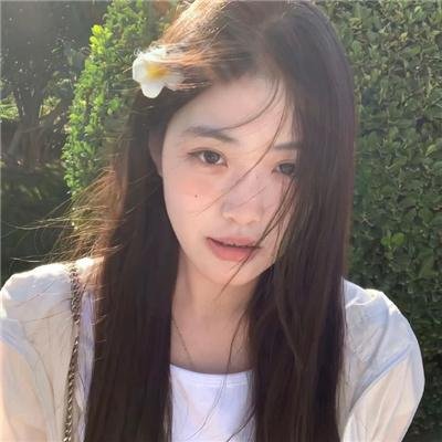 发胶明星梦